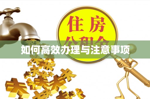 榆中如何高效办理与注意事项
