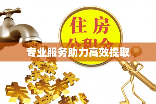 榆中专业服务助力高效提取
