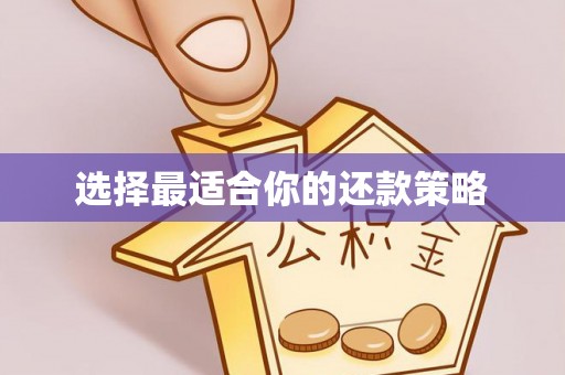 榆中选择最适合你的还款策略